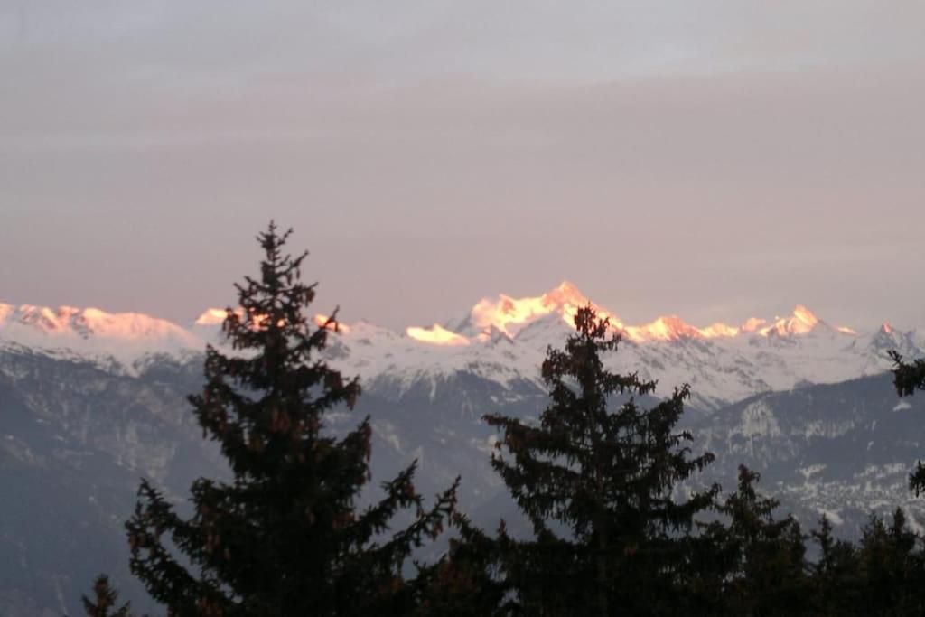 La Casetta Di Crans ภายนอก รูปภาพ